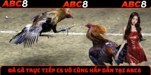 Trải nghiệm đá gà trực tiếp C5 cực thú vị