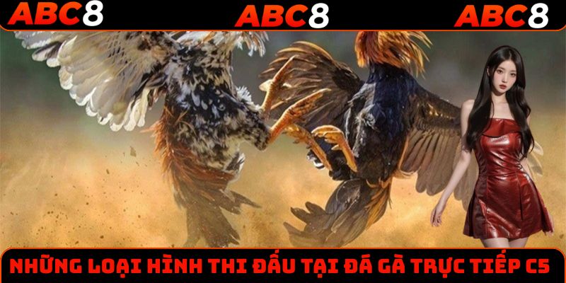Những loại hình đá gà C5 phổ biến nhất tại nhà cái