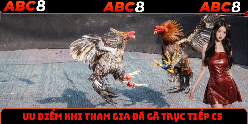 Ưu điểm nổi bật khi theo dõi đá gà trực tiếp C5