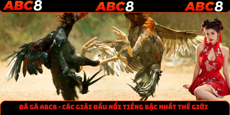 Trải nghiệm các giải đấu đá gà đỉnh cao