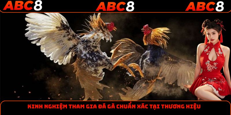 Kinh nghiệm tham gia đá gà chuẩn xác tại thương hiệu