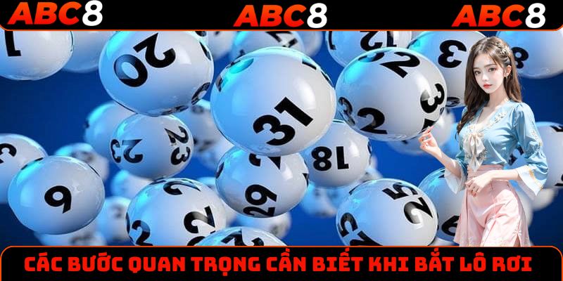 Các bước quan trọng khi bắt lô rơi mà tân thủ cần biết