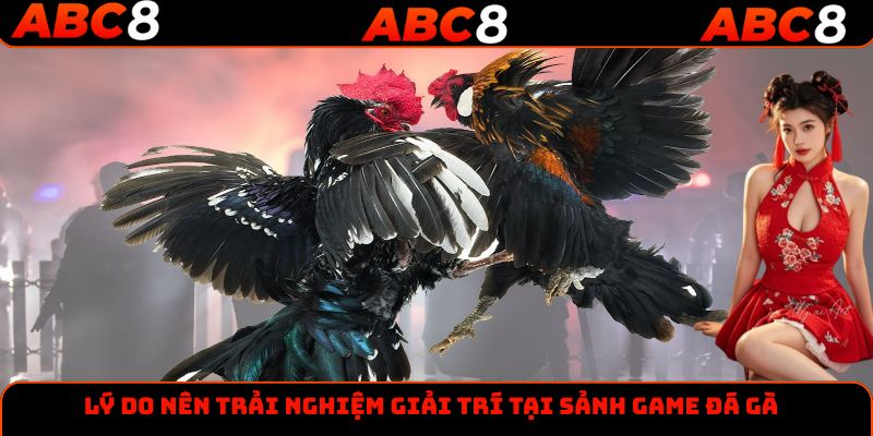 Lý do nên trải nghiệm giải trí tại sảnh game đá gà